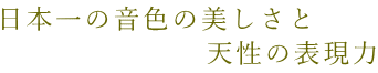 {̉F̔ @@@@@@@V̕\
